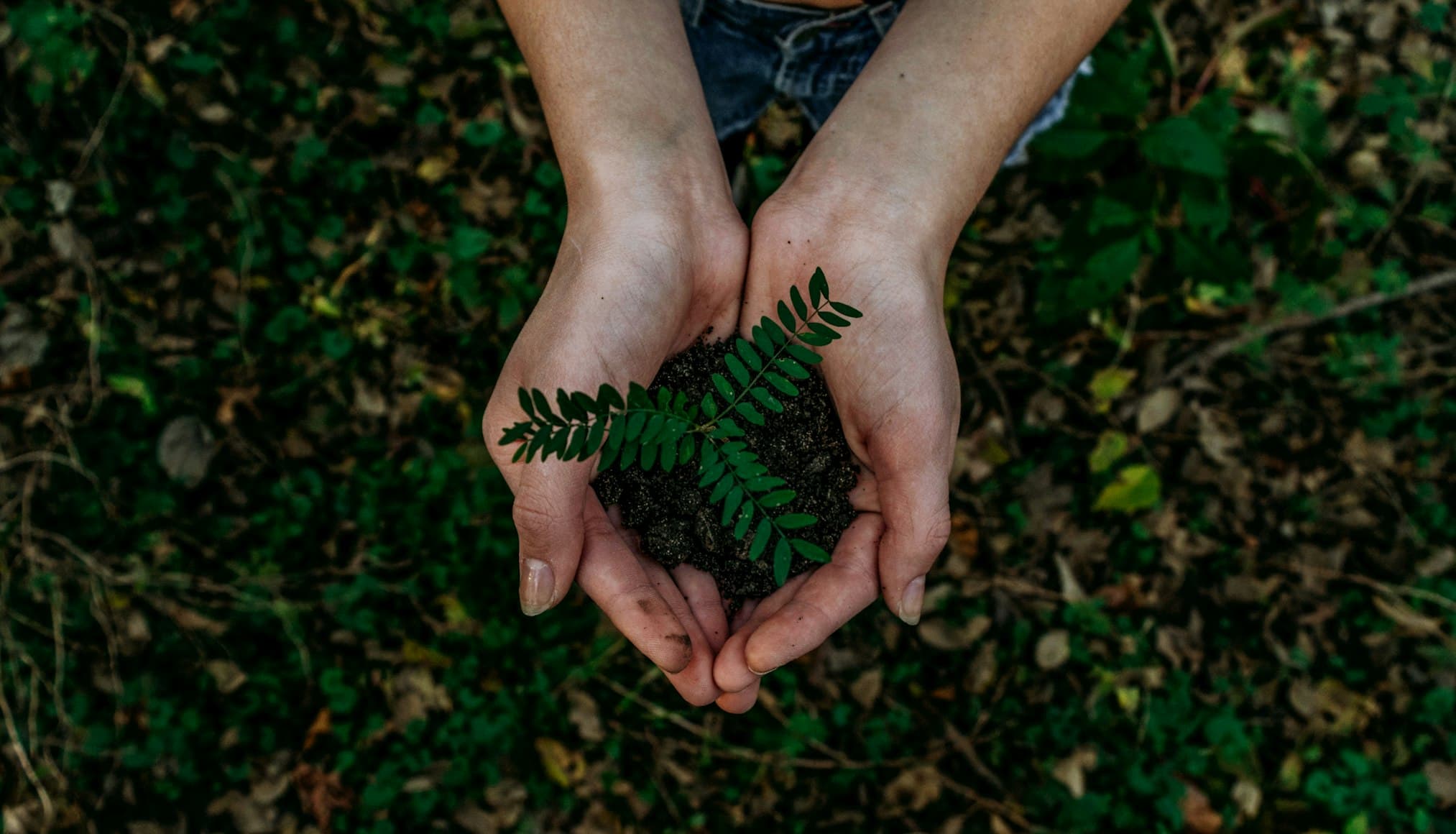 Biodiversity