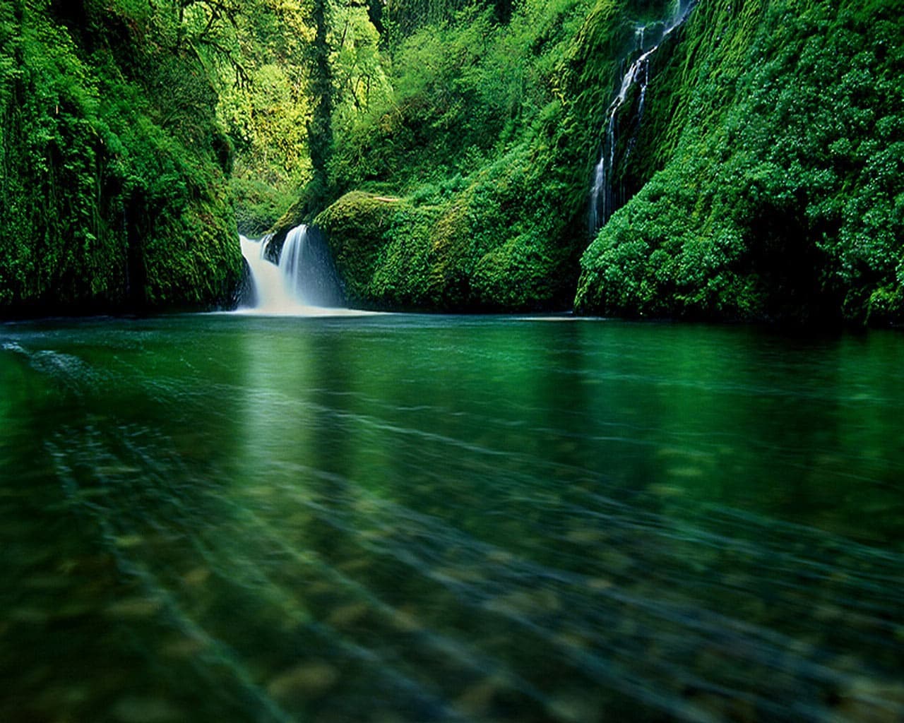 Carbon Sink